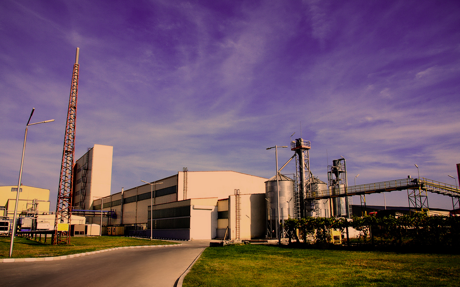 Ethanol Distillery Plant